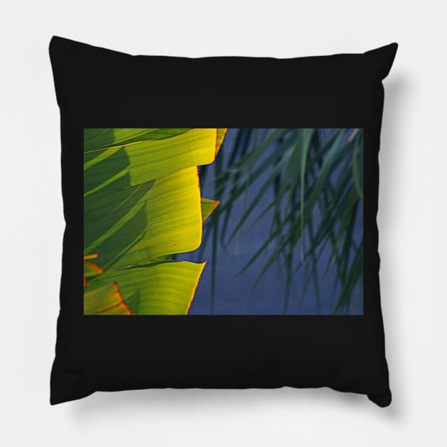 Yin and Yang Pillow by EileenMcVey