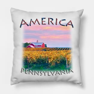 America - Pennsylvania - Fall colours with Winery Pillow