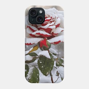 Winter Rose in a Snowy Landscape Phone Case