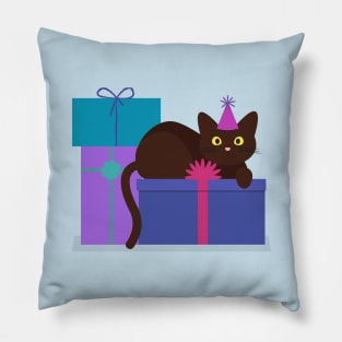 Birthday Cat Pillow