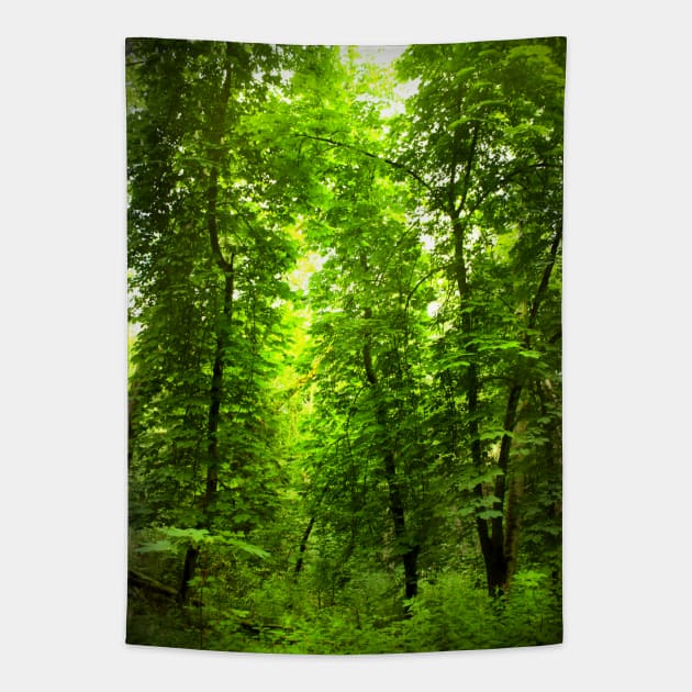 Forest Contemplation Tapestry by LucidClay