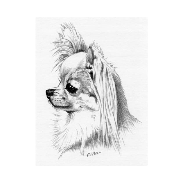 Longcoat chihuahua head portrait by fionahooperart