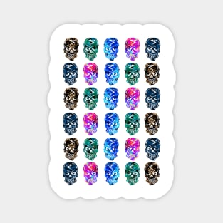 Colorful Skulls Pattern Magnet