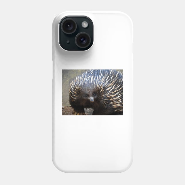 Echidna Phone Case by kirstybush