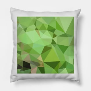 Dollar Bill Green Abstract Low Polygon Background Pillow