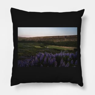 Lupine Flowers in Blossom During Midnight Sunset in Iceland Pillow