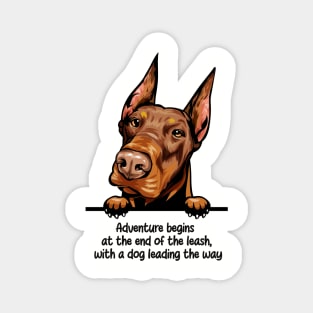 Adventure begins  at the end of the leash,  with a dog leading the way Magnet