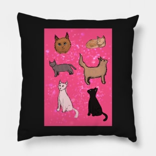 Kitty doodles Pillow