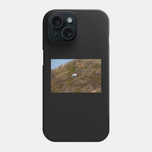 Royal Albatross 2 Phone Case