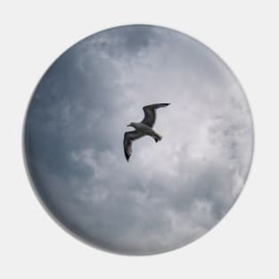 Seagull in flight Pin