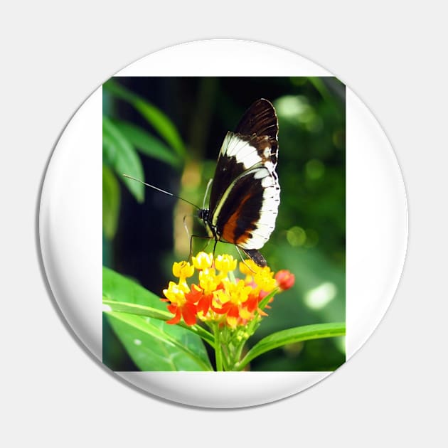 Butterfly on a Flower Pin by Scubagirlamy