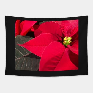 Red Poinsettia celebrating a Joyous Merry Christmas Tapestry