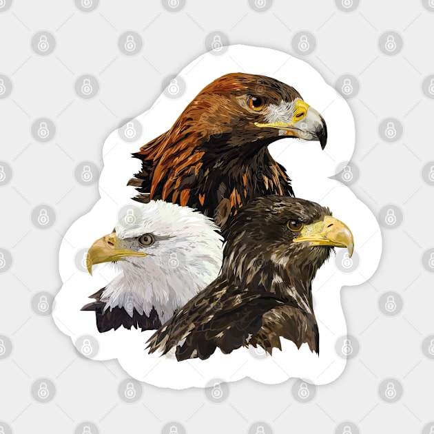 Royal Eagle and Pigargos Magnet by obscurite