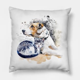 Cat and Dog Friendship Pillow