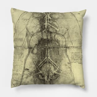 Human Anatomy Female Torso by Leonardo da Vinci Pillow