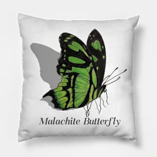 Malachite Butterfly Labeled Pillow