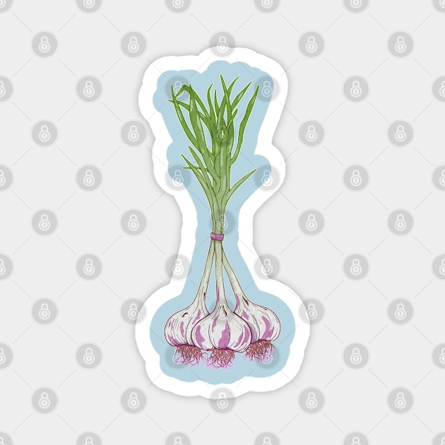 Garlic plants Magnet by mailboxdisco