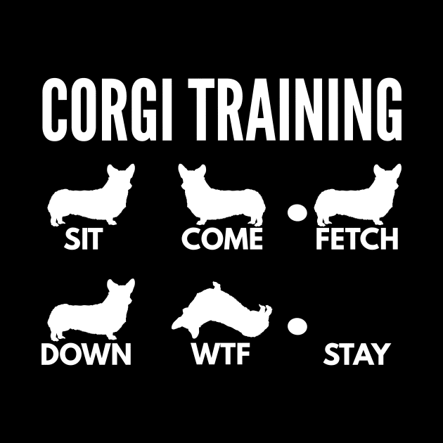 Cogi Training Pembroke Welsh Corgi Tricks by DoggyStyles