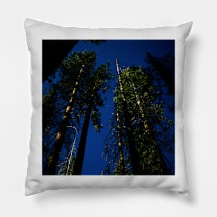 Near Laurel Lake in Yosemite N.P. Pillow