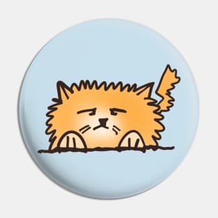 Fluffy Orange Cat Pin