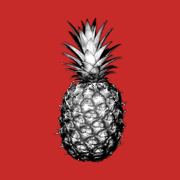 Black & White Pineapples by CumulusFactory