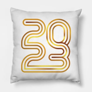 2023 Pillow