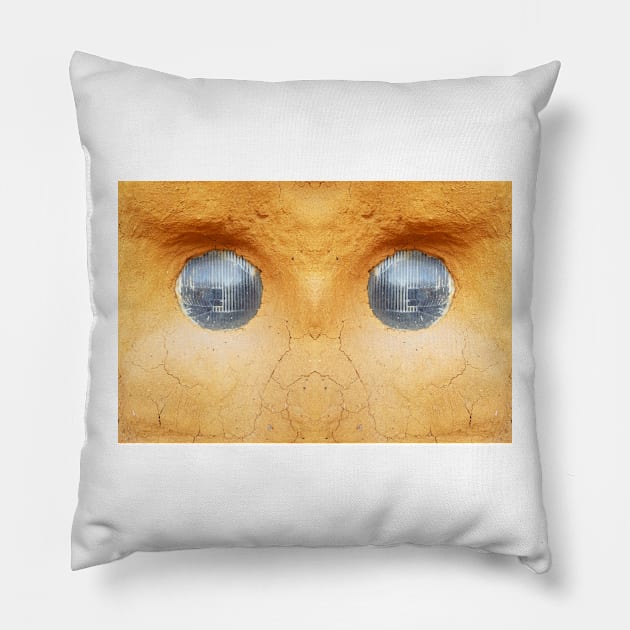 Caught in the Headlights - by Avril Thomas Pillow by MagpieSprings