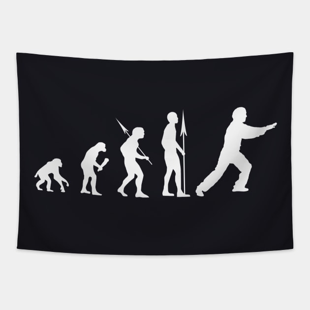 Tai Chi Evolution Tapestry by Foxxy Merch