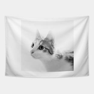 Cat portrait in black and white Tapestry