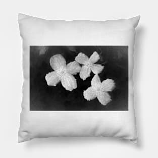 Designer 140596 x6 Pillow