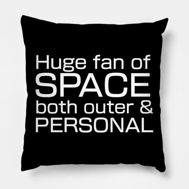 Huge fan of SPACE, both outer and personal. Pillow by TheQueerPotato