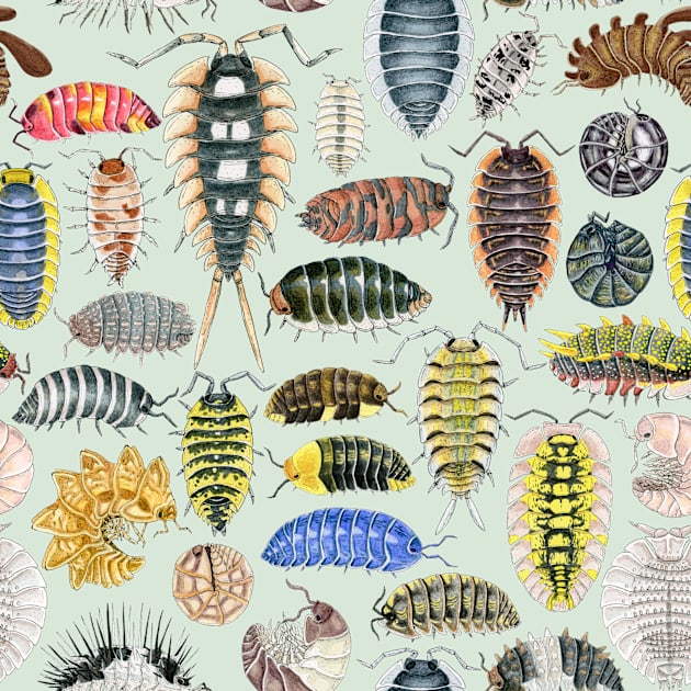 Crazy Isopod Pattern- Aqua Kids T-Shirt by paintedpansy