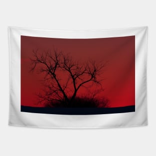 Red sky at night - Bare Tree Tapestry