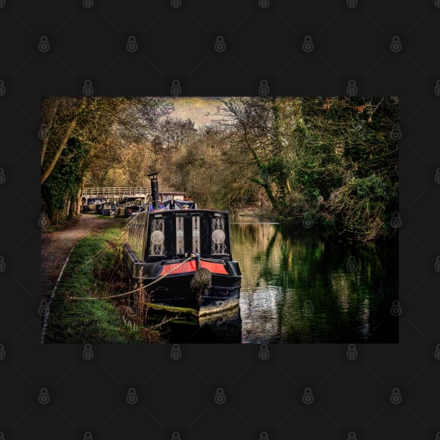 Moored Narrowboats At Newbury by IanWL