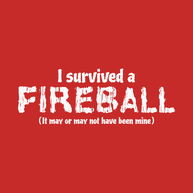 I survived a Fireball Funny TTRPG White by Wolfkin Design