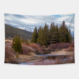 Autumn in Yellowstone National Park Mountains Tapestry