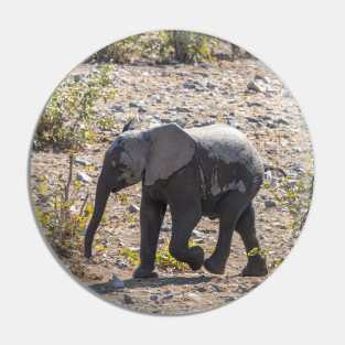 Namibia. Etosha National Park. Baby Elephant. Pin