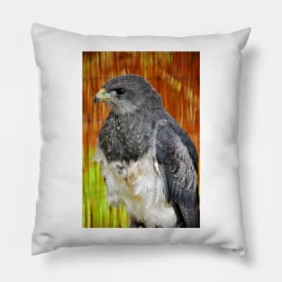 Chilean Eagle Black Chested Buzzard Pillow