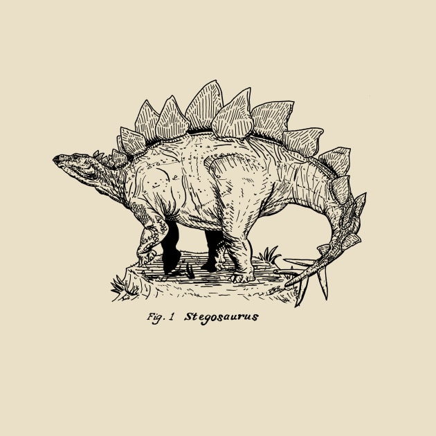 Figure One: Stegosaurus by Philip A. Buck