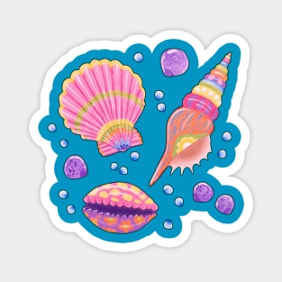 Colourful Seashells Magnet