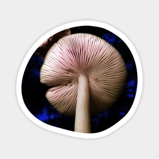 Fungus with a Hat 2 Magnet