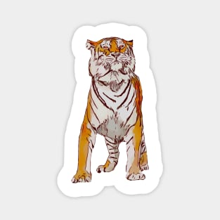Siberian  Tiger Magnet