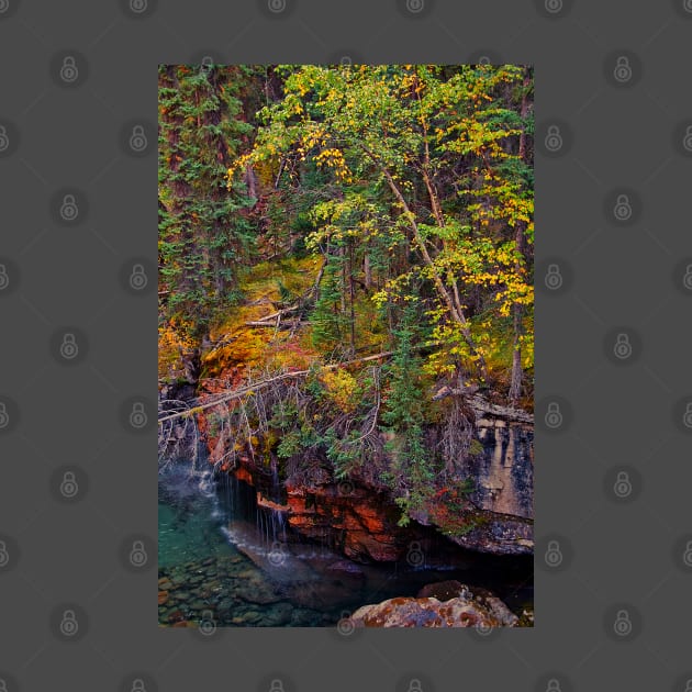 Canada. Canadian Rockies. Jasper NP. Maligne Canyon. Fall Colors. by vadim19