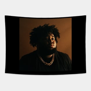 Rod Wave concert music Tapestry