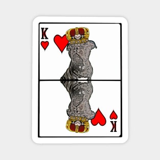 Staffordshire Bull Terrier King of Hearts Magnet