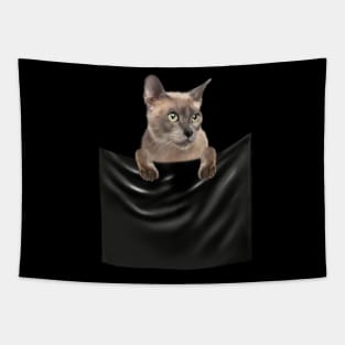 Tonkinese Cat inside Pocket, Cat Lover Tapestry