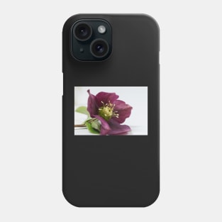 Hellebore Phone Case