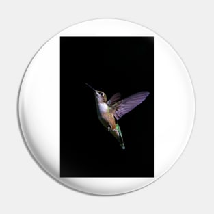 Free - Ruby throated Hummingbird Pin