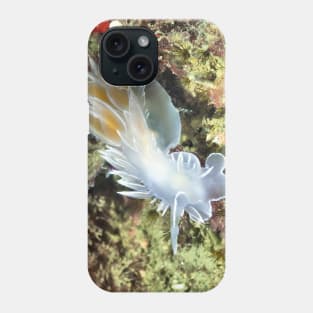 Alabaster Nudibranch / White-lined Dirona Phone Case