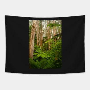 Tarra-Bulga National Park Tapestry